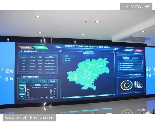 数据驾驶舱本年度成为执行标准配置 实时投射赛场运行体征信息